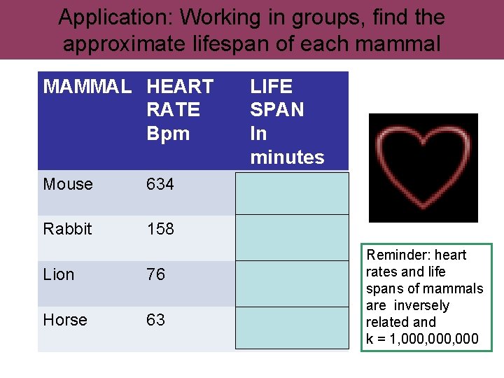 Application: Working in groups, find the approximate lifespan of each mammal MAMMAL HEART RATE