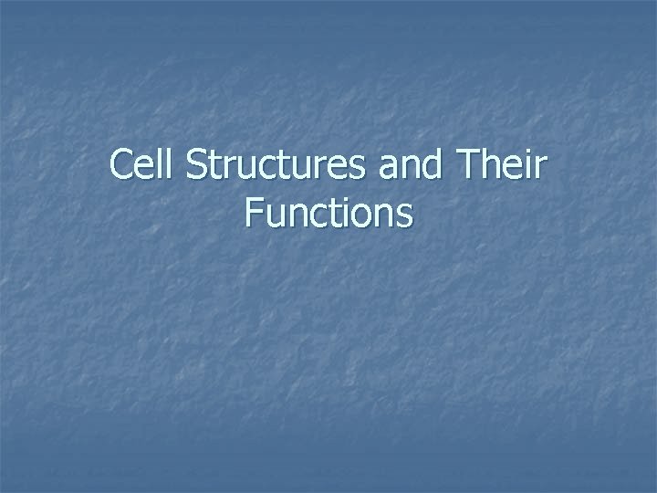 Cell Structures and Their Functions 