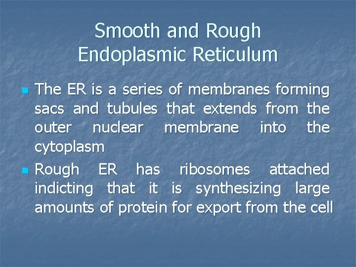 Smooth and Rough Endoplasmic Reticulum n n The ER is a series of membranes
