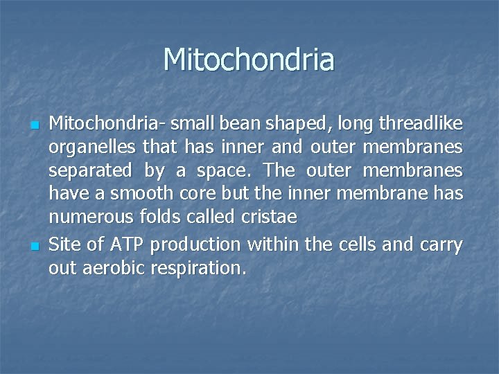 Mitochondria n n Mitochondria- small bean shaped, long threadlike organelles that has inner and