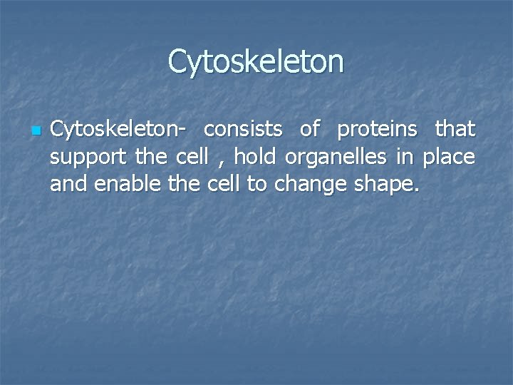 Cytoskeleton n Cytoskeleton- consists of proteins that support the cell , hold organelles in