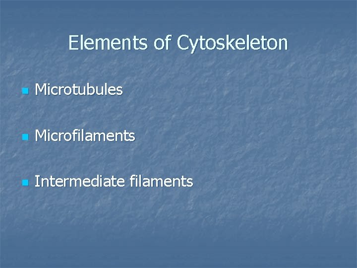 Elements of Cytoskeleton n Microtubules n Microfilaments n Intermediate filaments 