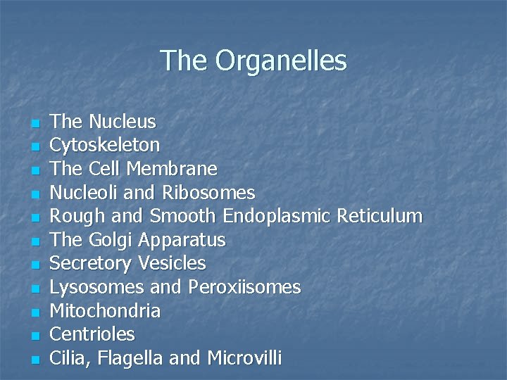 The Organelles n n n The Nucleus Cytoskeleton The Cell Membrane Nucleoli and Ribosomes