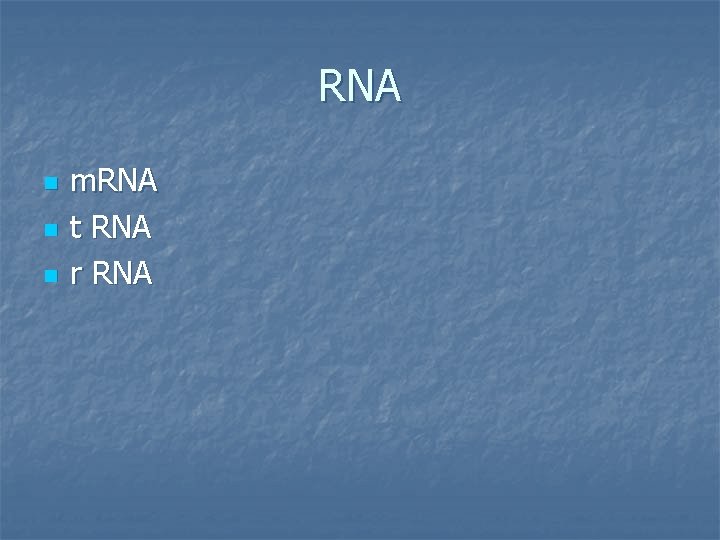 RNA n n n m. RNA t RNA r RNA 