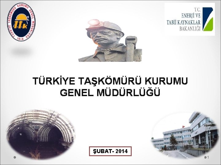 TÜRKİYE TAŞKÖMÜRÜ KURUMU GENEL MÜDÜRLÜĞÜ ŞUBAT- 2014 1 