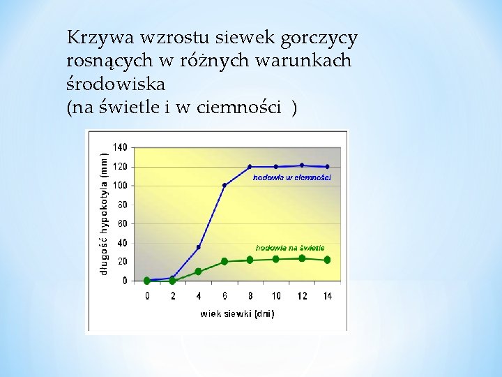 Krzywa wzrostu siewek gorczycy rosnących w różnych warunkach środowiska (na świetle i w ciemności