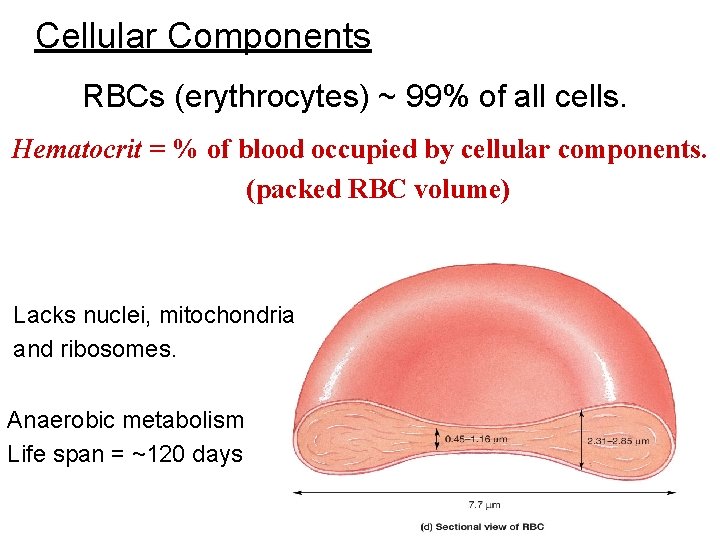 Cellular Components RBCs (erythrocytes) ~ 99% of all cells. Hematocrit = % of blood