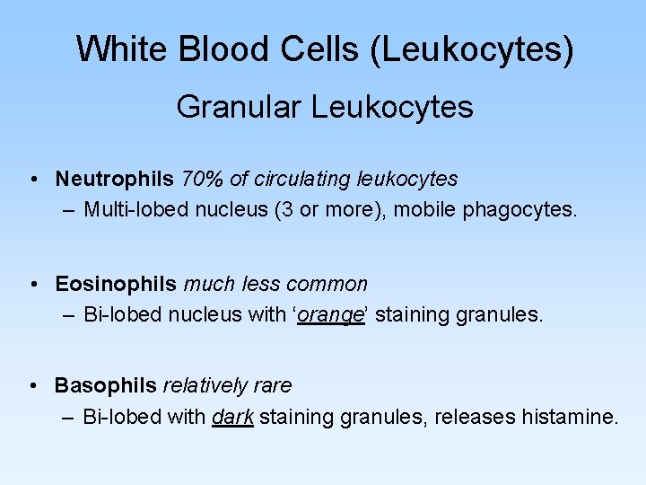 White Blood Cells (Leukocytes) Granular Leukocytes • Neutrophils 70% of circulating leukocytes – Multi-lobed
