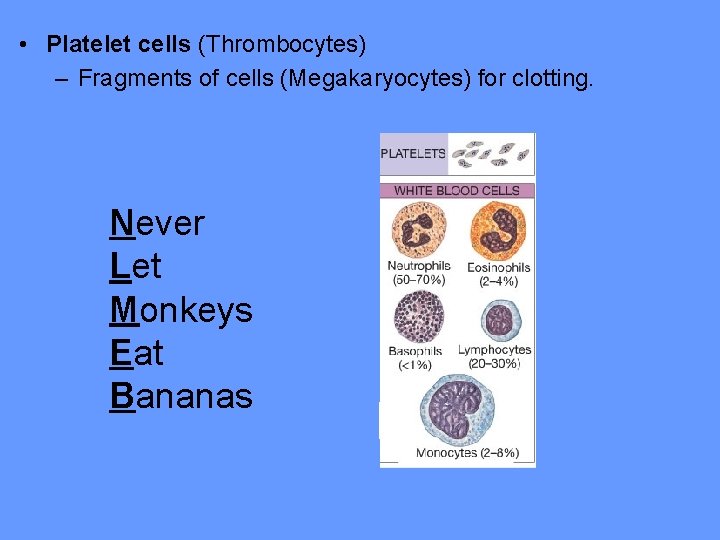  • Platelet cells (Thrombocytes) – Fragments of cells (Megakaryocytes) for clotting. Never Let