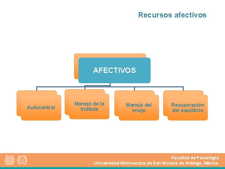 Recursos afectivos AFECTIVOS Autocontrol Manejo de la tristeza Manejo del enojo Recuperación del equilibrio