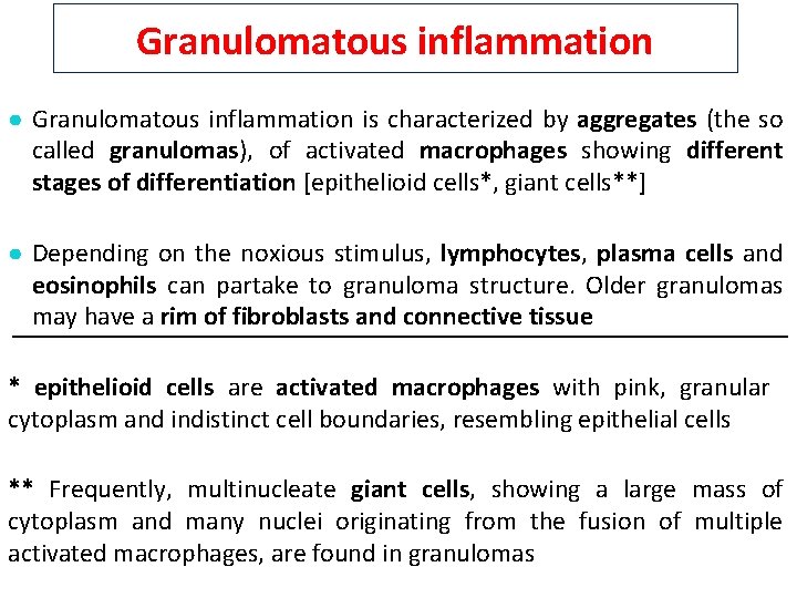 Granulomatous inflammation ● Granulomatous inflammation is characterized by aggregates (the so called granulomas), of