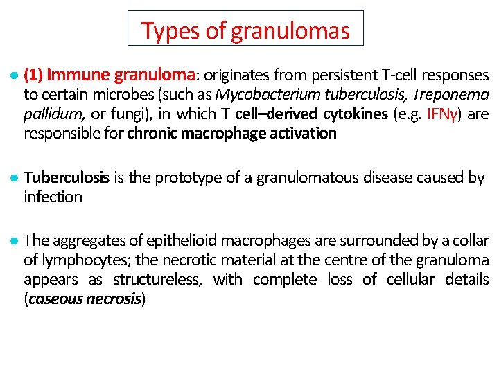 Types of granulomas ● (1) Immune granuloma: originates from persistent T-cell responses to certain