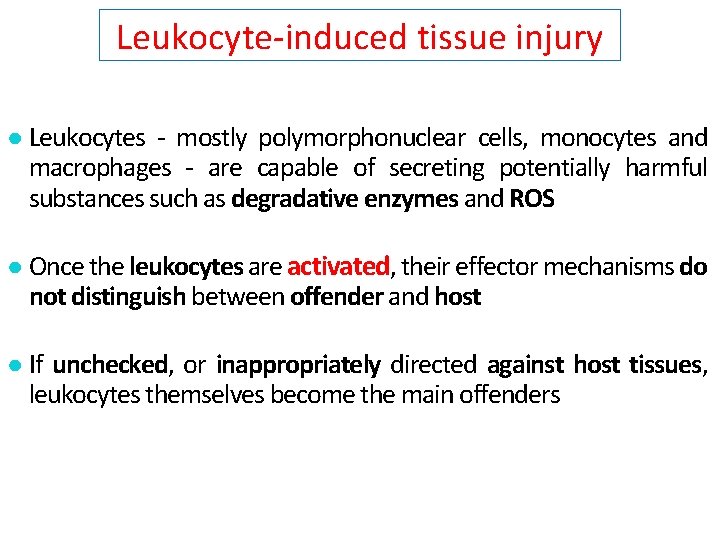 Leukocyte-induced tissue injury ● Leukocytes - mostly polymorphonuclear cells, monocytes and macrophages - are