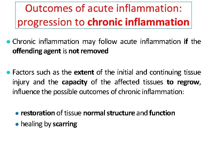 Outcomes of acute inflammation: progression to chronic inflammation ● Chronic inflammation may follow acute
