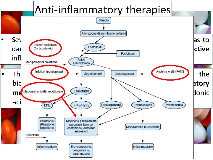 Anti-inflammatory therapies • Several dozens of anti-inflammatory drugs are available as to dampen the