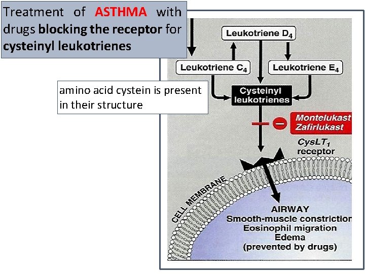 Treatment of ASTHMA with drugs blocking the receptor for cysteinyl leukotrienes amino acid cystein