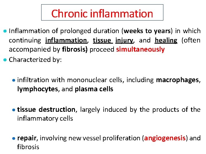 Chronic inflammation ● Inflammation of prolonged duration (weeks to years) in which continuing inflammation,
