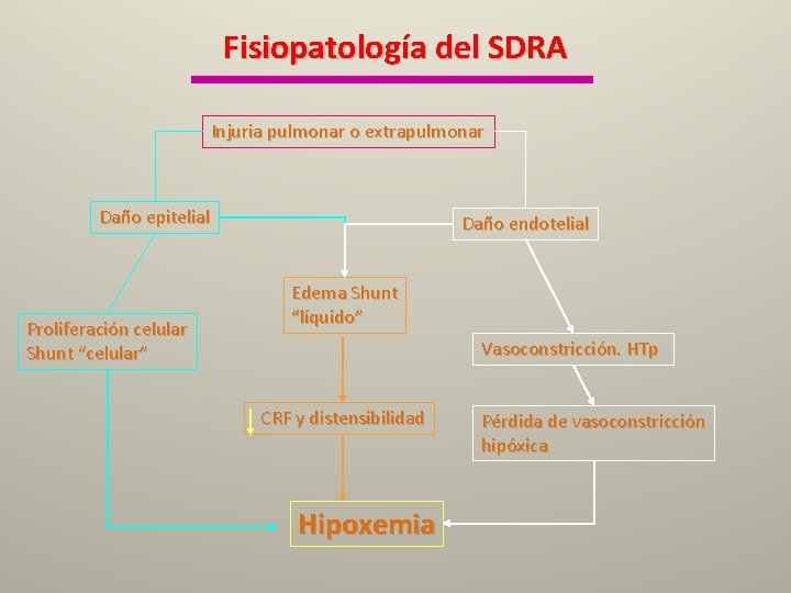 Fisiopatología del SDRA Injuria pulmonar o extrapulmonar Daño epitelial Proliferación celular Shunt “celular” Daño