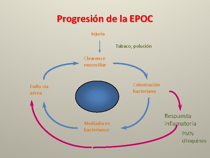 Progresión de la EPOC Injuria Tabaco, polución Clearence mucociliar Colonización bacteriana Daño vía aérea