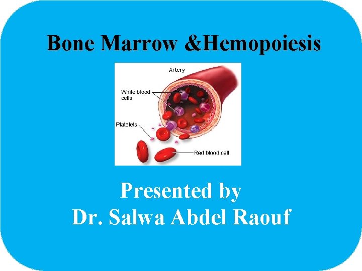 Bone Marrow &Hemopoiesis Presented by Dr. Salwa Abdel Raouf 