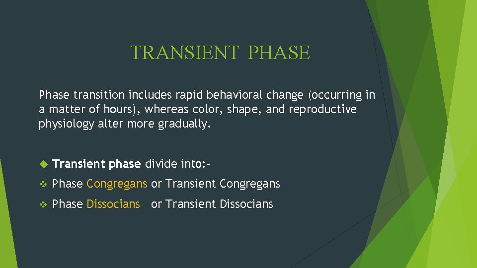 TRANSIENT PHASE Phase transition includes rapid behavioral change (occurring in a matter of hours),