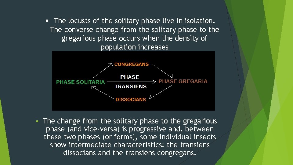 § The locusts of the solitary phase live in isolation. The converse change from
