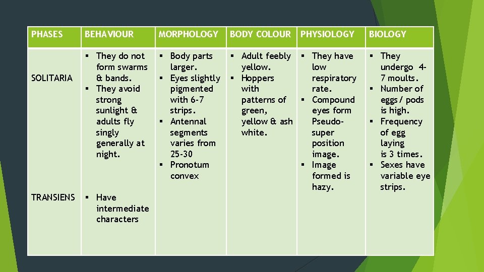PHASES SOLITARIA TRANSIENS BEHAVIOUR MORPHOLOGY BODY COLOUR § They do not form swarms &