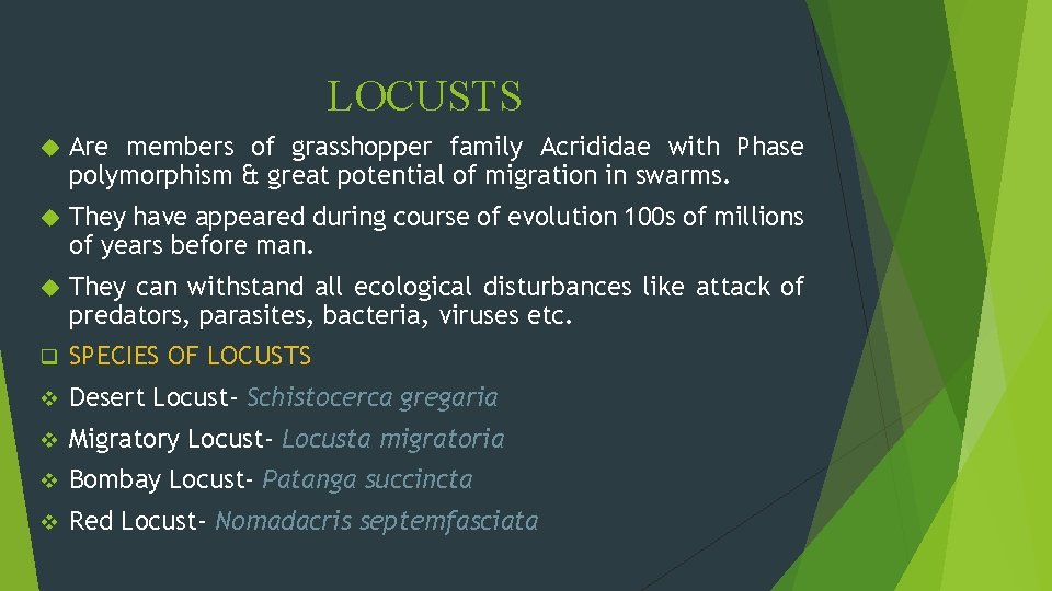 LOCUSTS Are members of grasshopper family Acrididae with Phase polymorphism & great potential of