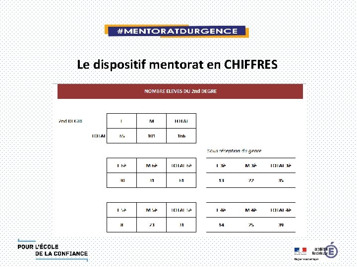 Le dispositif mentorat en CHIFFRES 