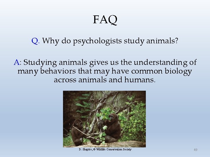 FAQ Q. Why do psychologists study animals? A: Studying animals gives us the understanding