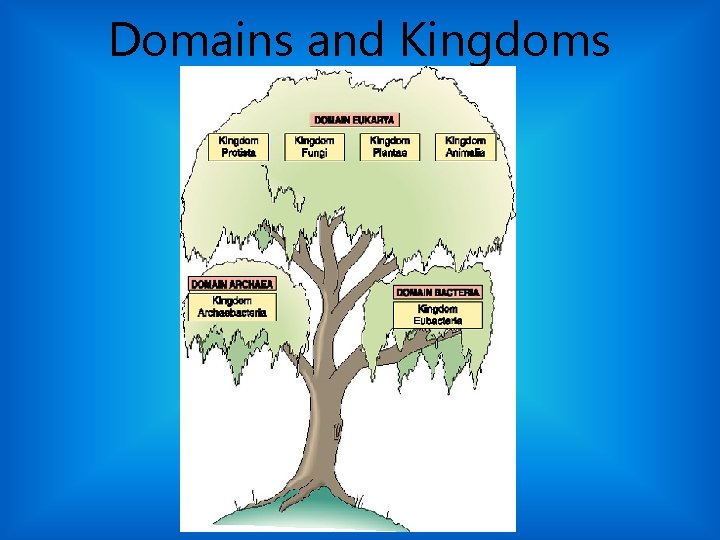 Domains and Kingdoms 