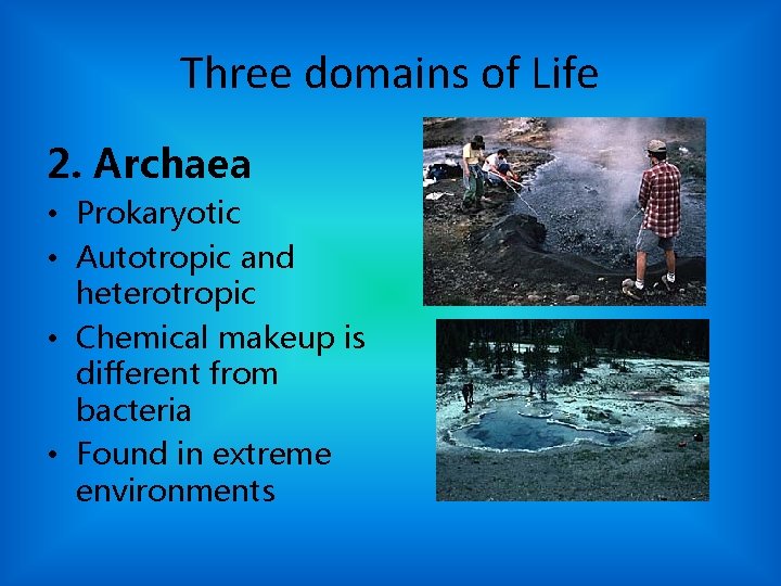 Three domains of Life 2. Archaea • Prokaryotic • Autotropic and heterotropic • Chemical