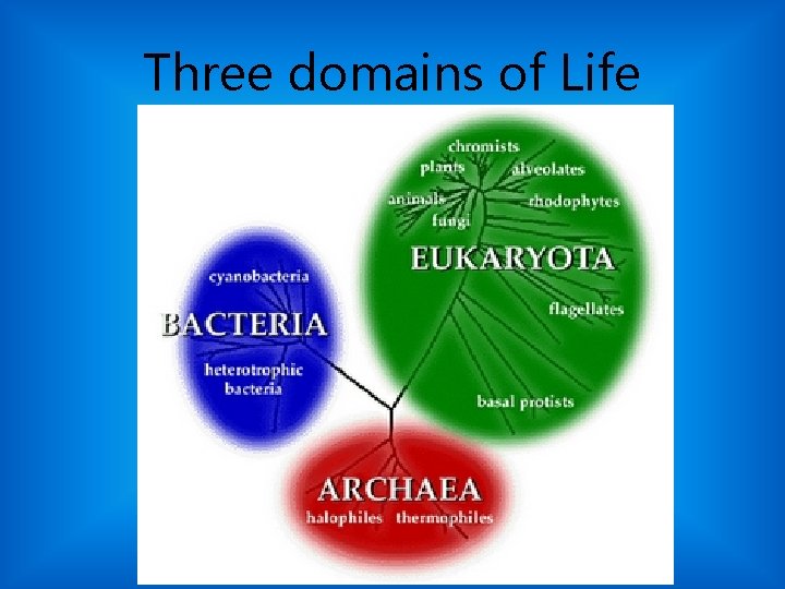 Three domains of Life 