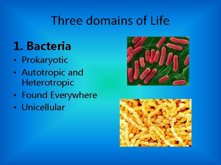 Three domains of Life 1. Bacteria • Prokaryotic • Autotropic and Heterotropic • Found