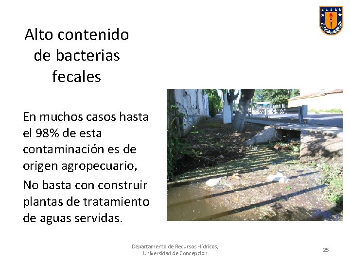 Alto contenido de bacterias fecales En muchos casos hasta el 98% de esta contaminación