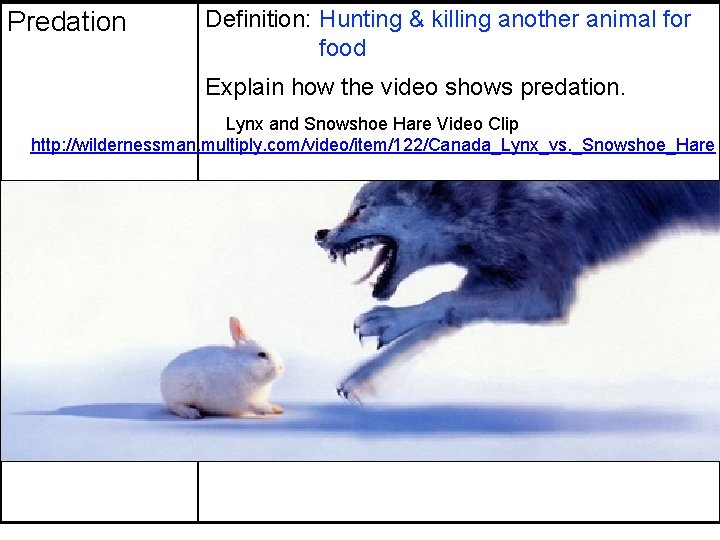 Predation Definition: Hunting & killing another animal for food Explain how the video shows Predation Definition: Hunting & killing another animal for food Explain how the video shows