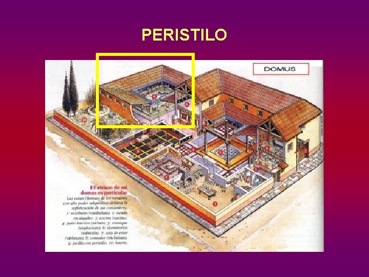 PERISTILO 