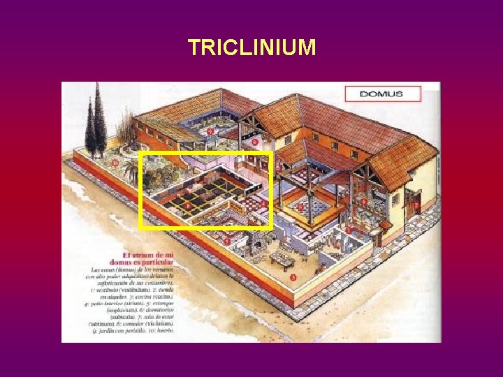 TRICLINIUM 