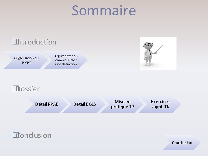 Sommaire �Introduction Organisation du projet Argumentation commerciale : une définition �Dossier Détail PPAE �Conclusion