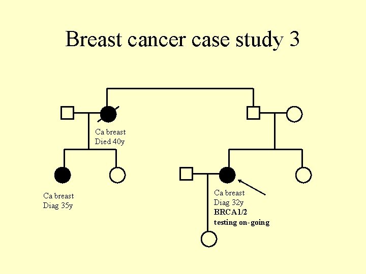 Breast cancer case study 3 Ca breast Died 40 y Ca breast Diag 35