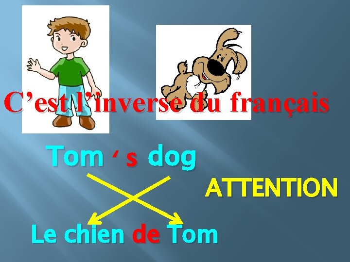 C’est l’inverse du français Tom ‘ s dog ATTENTION Le chien de Tom 