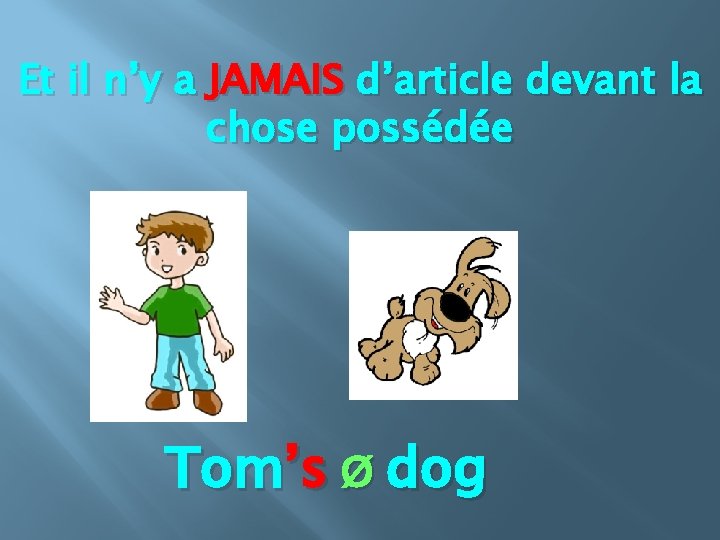 Et il n’y a JAMAIS d’article devant la chose possédée Tom’s Ø dog 
