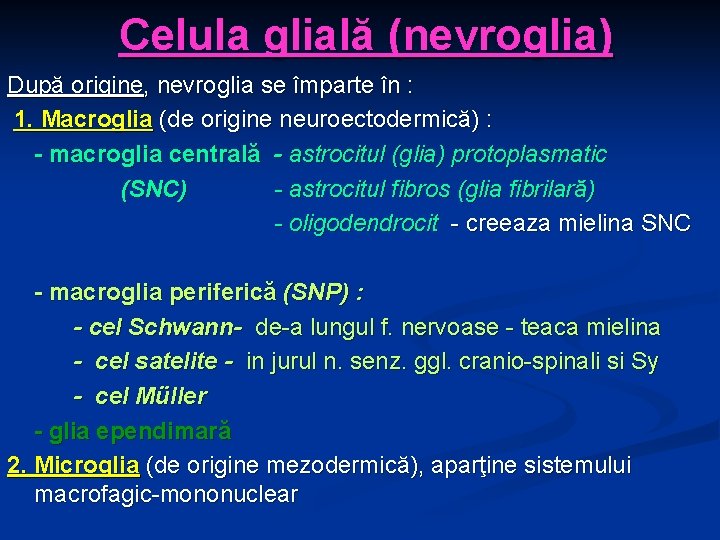 Celula glială (nevroglia) După origine, nevroglia se împarte în : 1. Macroglia (de origine