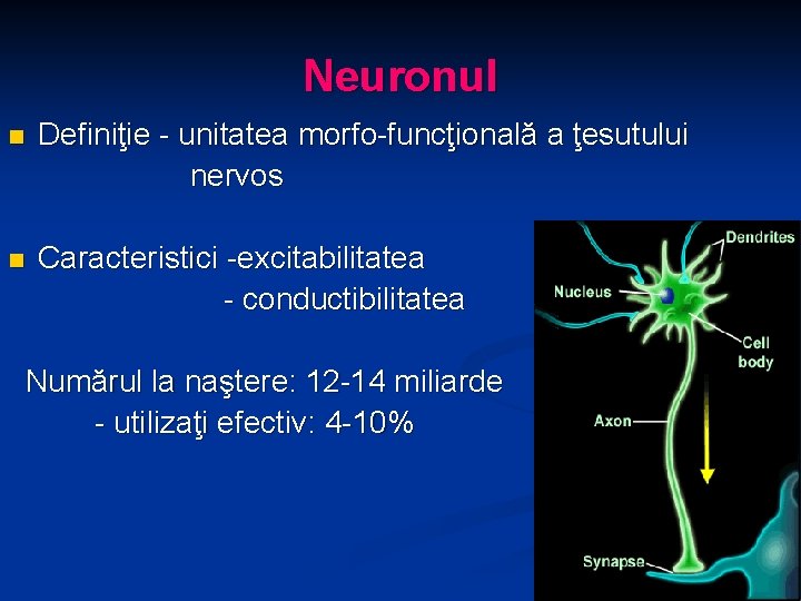Neuronul n Definiţie - unitatea morfo-funcţională a ţesutului nervos n Caracteristici -excitabilitatea - conductibilitatea