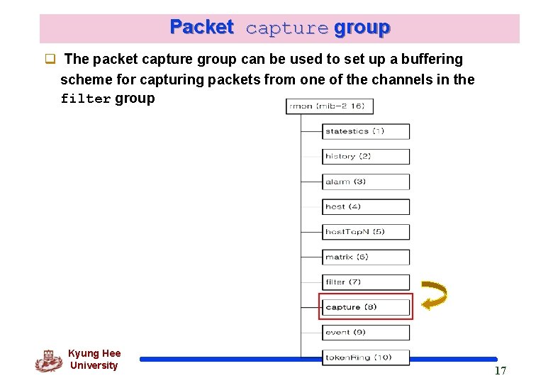 Packet capture group q The packet capture group can be used to set up
