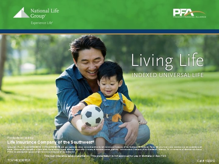 Products issued by: Life Insurance Company of the Southwest® Living Life, [Form Series 20182(0614),