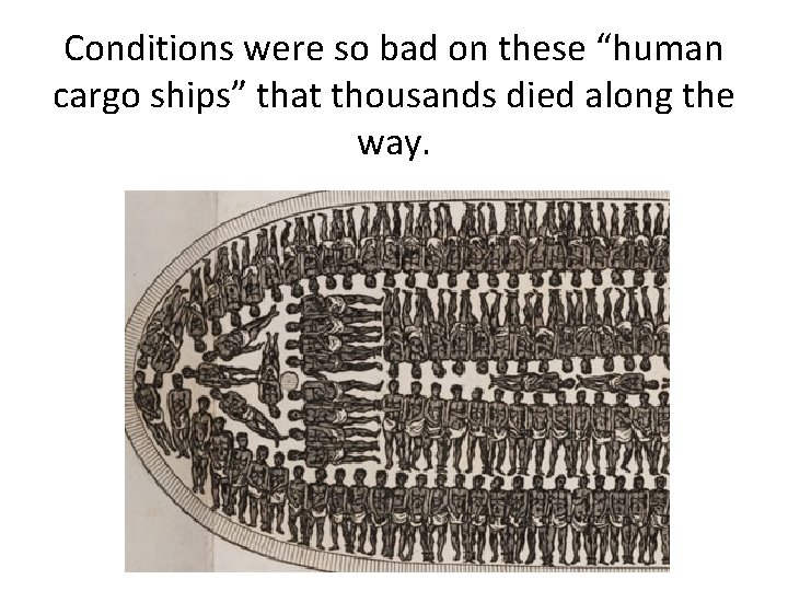 Conditions were so bad on these “human cargo ships” that thousands died along the