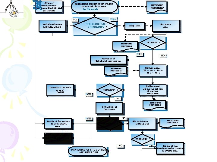 Offers of accompaniment services at the birth and postpartum OUTPATIENT EXAMINATION FILTER Doctor and