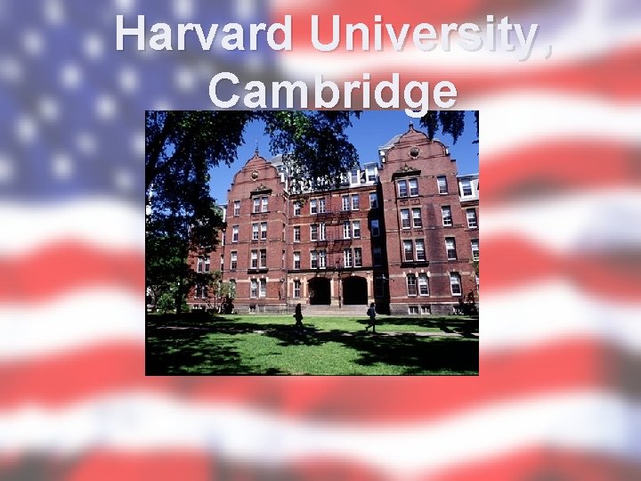 Harvard University, Cambridge 