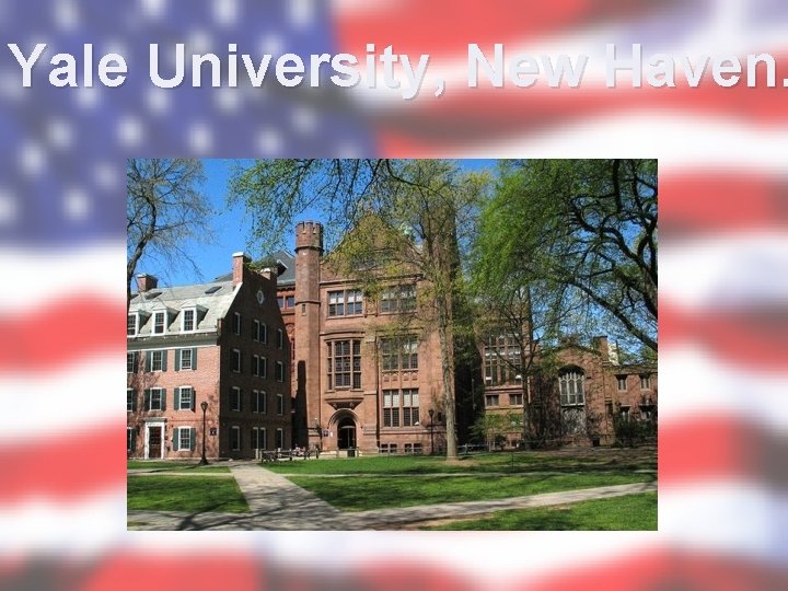 Yale University, New Haven. 